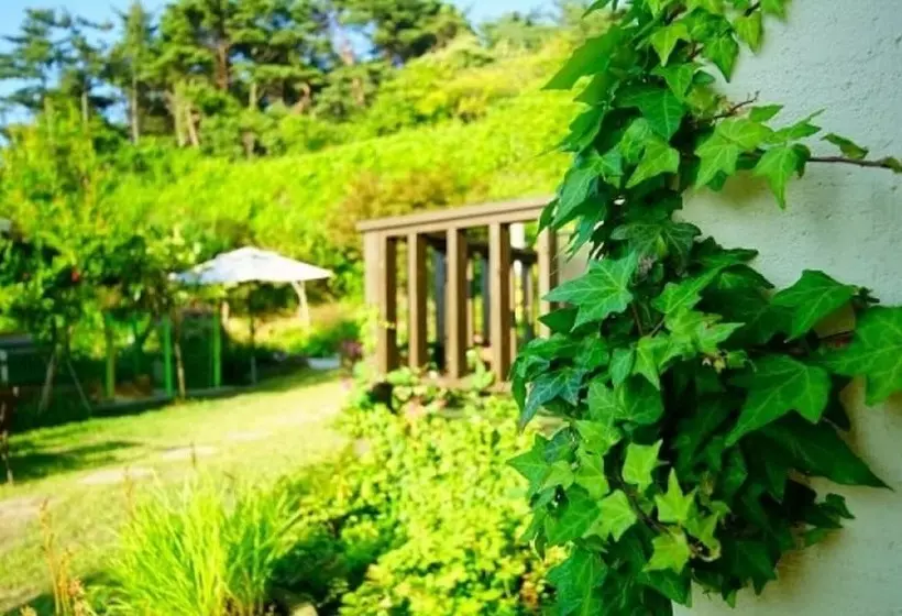 Pension On The Sea Shore In The Bosom Department Byeonsanbando