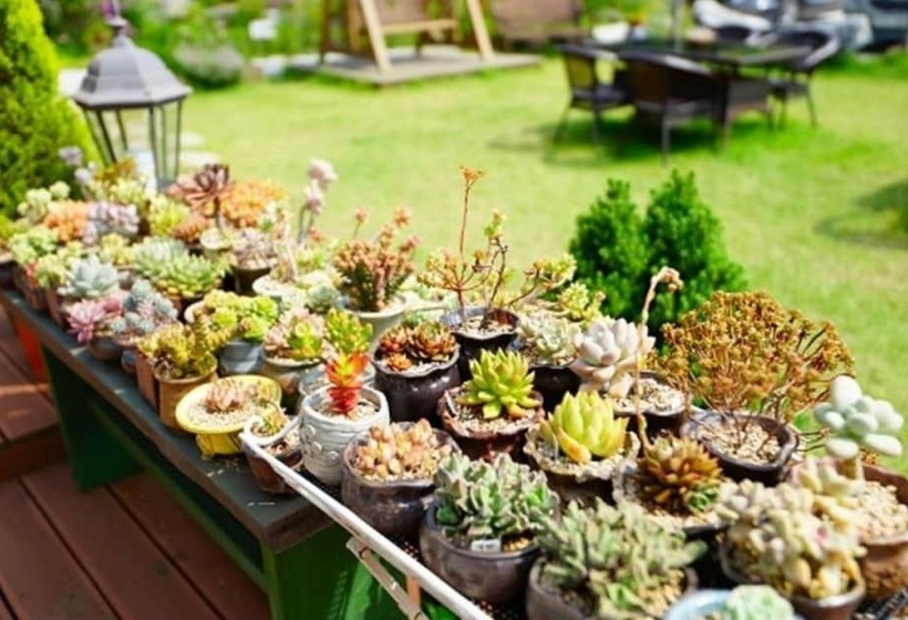 Pension On The Sea Shore In The Bosom Department Byeonsanbando