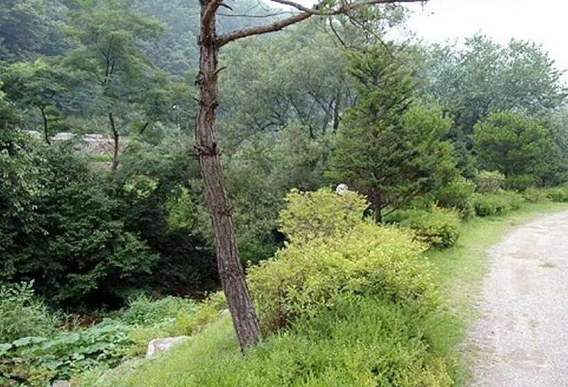 Chuncheon Supsogiyagi Pension