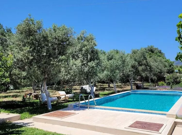 Hotelli Grape Datça