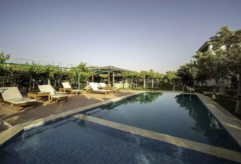 Hotelli Grape Datça