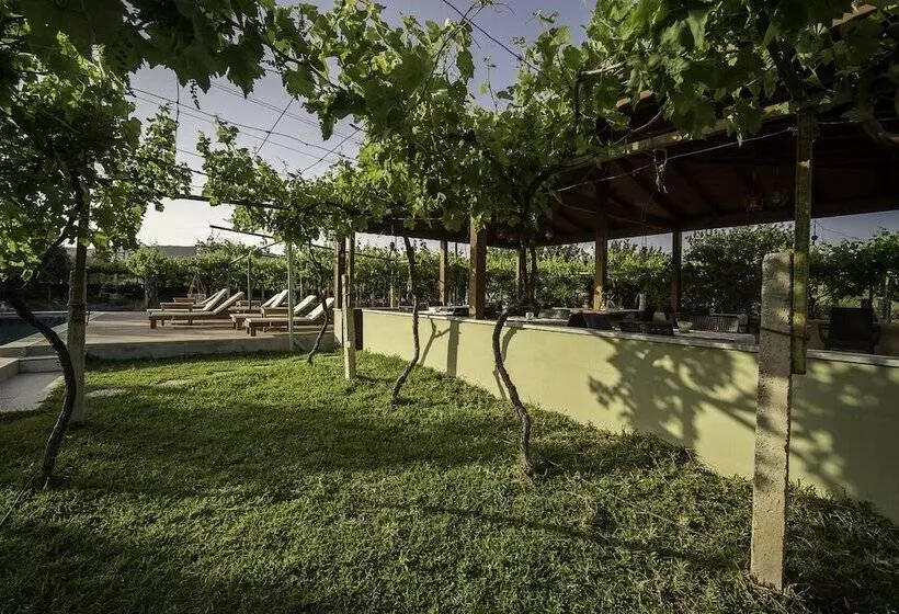 Hotelli Grape Datça