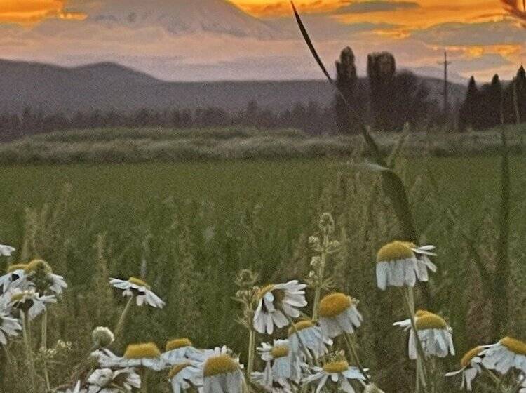 Отель Millz Manor At Fall River Millz