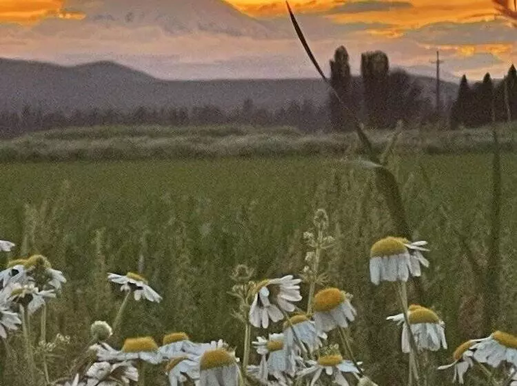 Hotelli Millz Manor At Fall River Millz