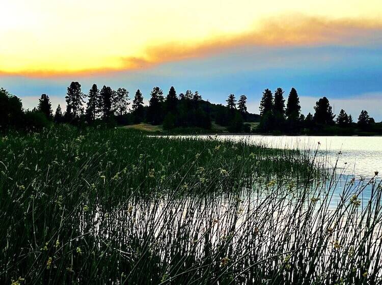 Отель Millz Manor At Fall River Millz