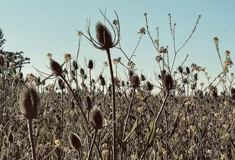 Hotelli Millz Manor At Fall River Millz