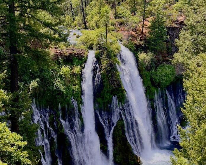 Отель Millz Manor At Fall River Millz