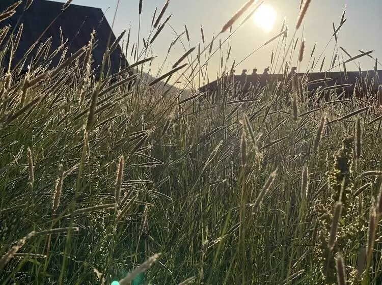 Hotelli Millz Manor At Fall River Millz