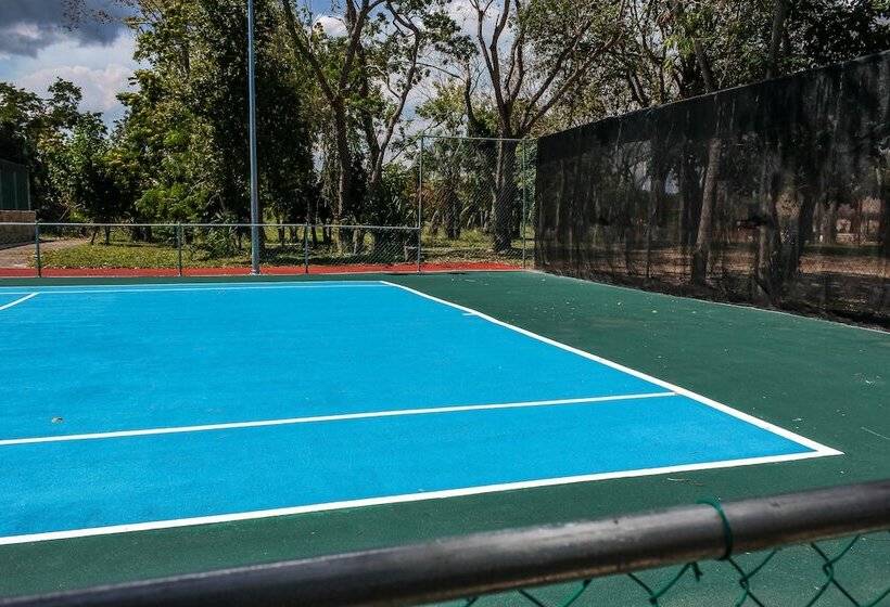 בית מלון כפרי Villa Marcela