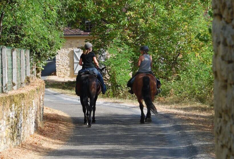 Пансион Les Terrasses De Gaumier
