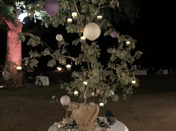 Majatalo Orangerie De Chatel Sélection Figaro & Elle Magazine