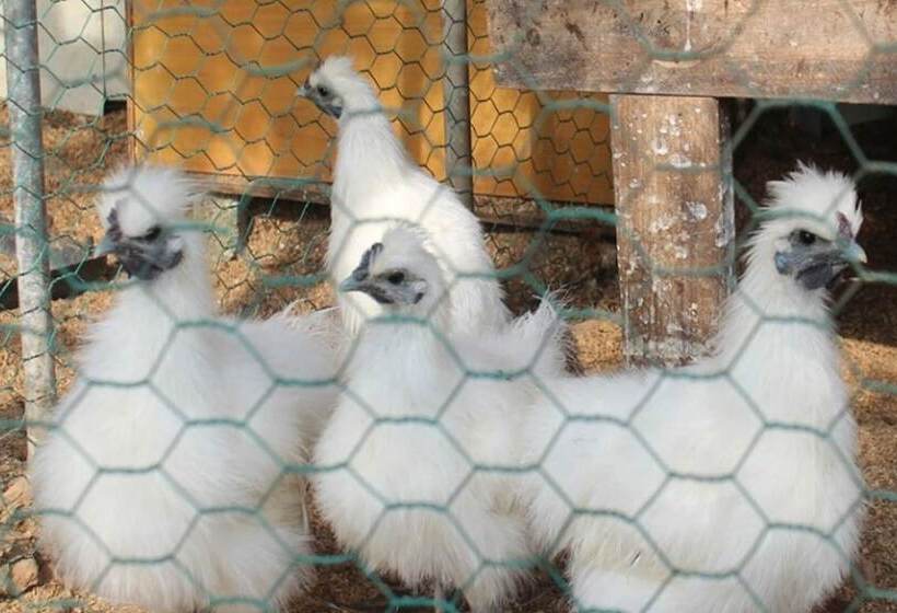 Taean Songjuk Gaheon Pension