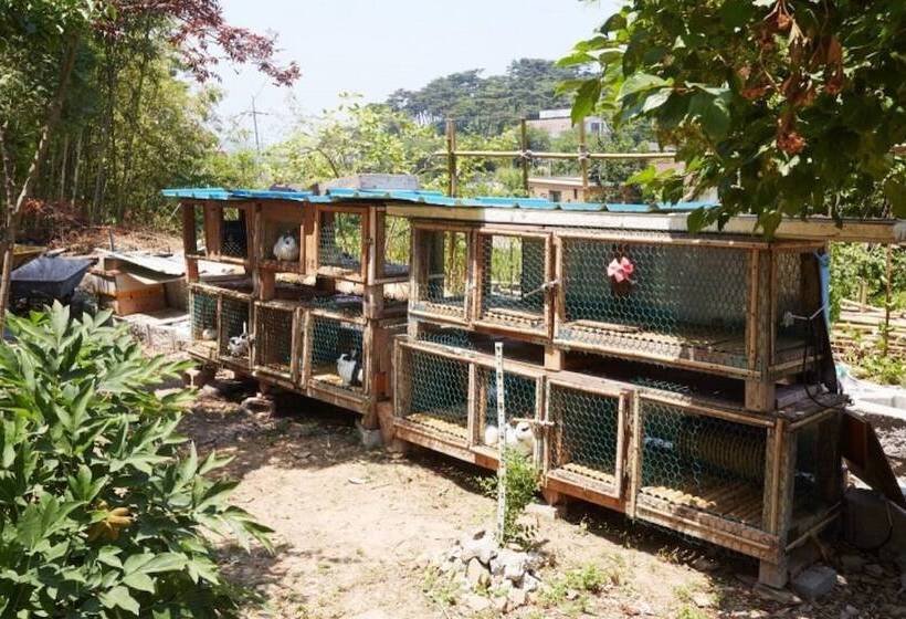 Taean Songjuk Gaheon Pension