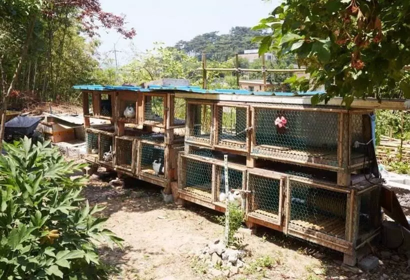 Taean Songjuk Gaheon Pension