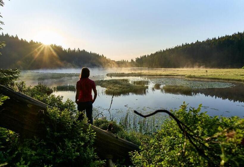 Ferienhotel Hubertus