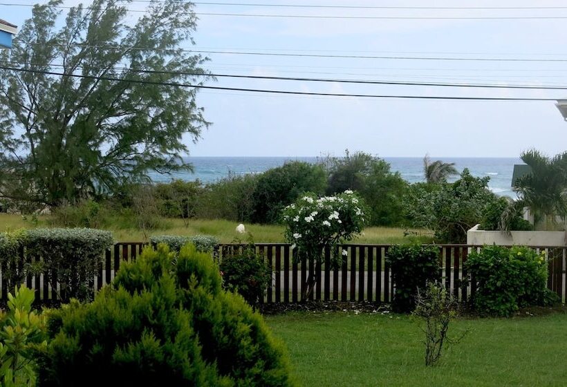 Gemini House Bed & Breakfast