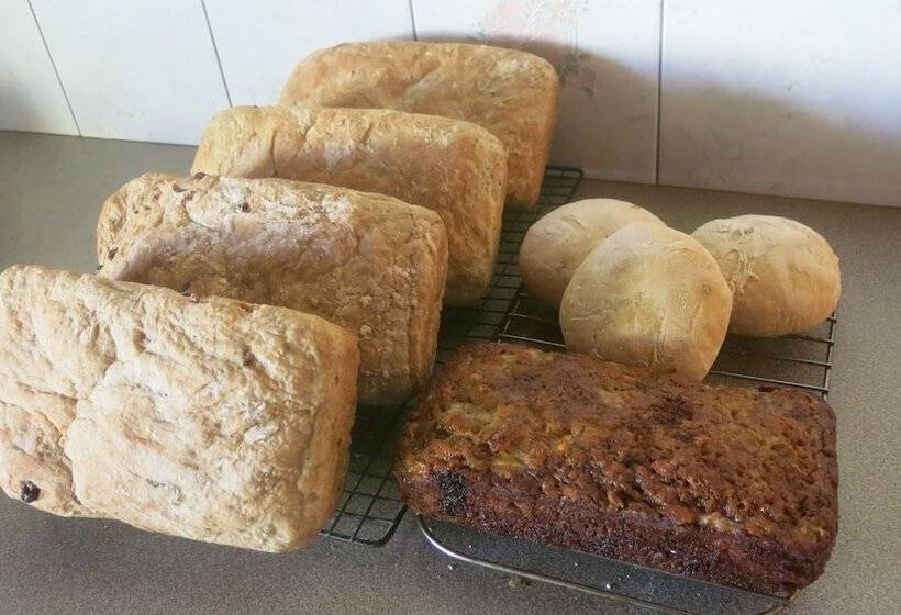 Gemini House Bed & Breakfast