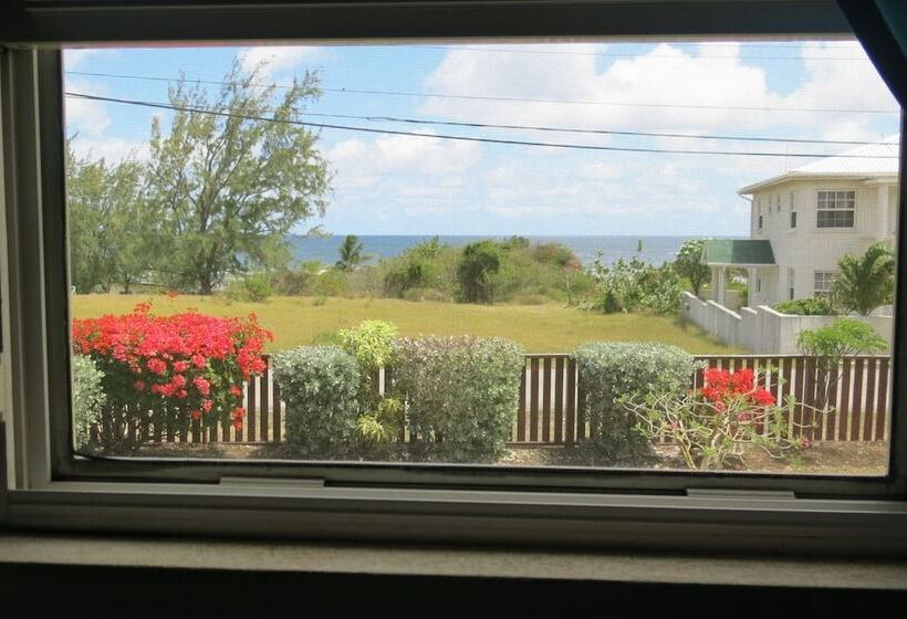 Gemini House Bed & Breakfast