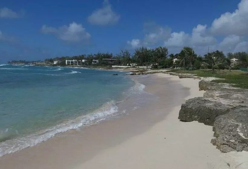 Gemini House Bed & Breakfast