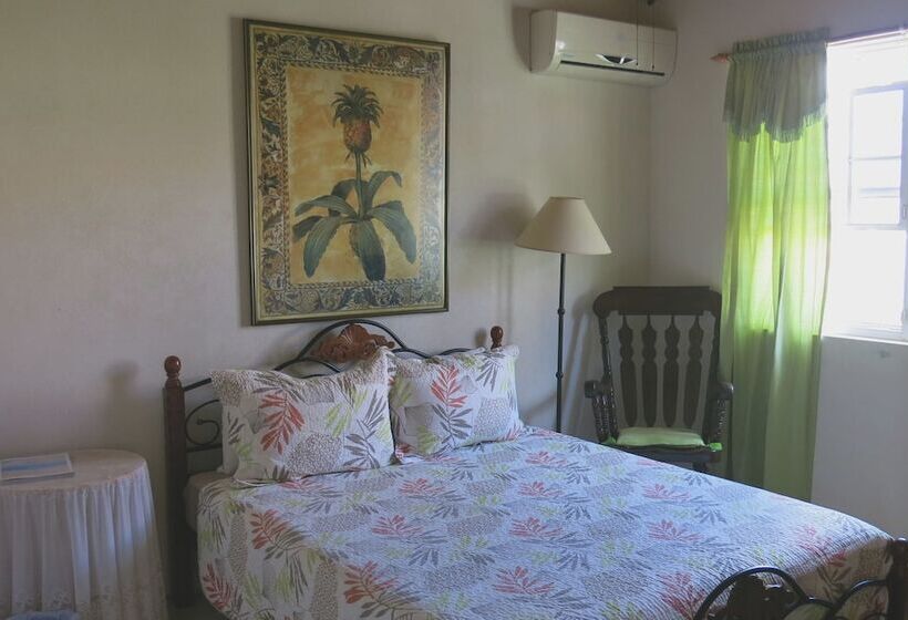 Gemini House Bed & Breakfast