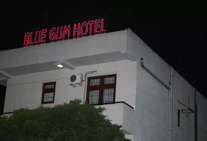 هتل Blue Gum