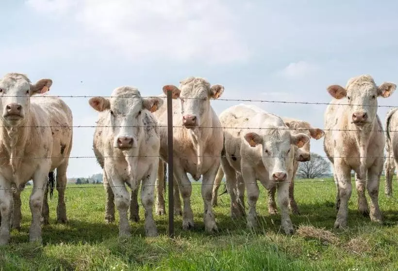 Отель Entre Nous