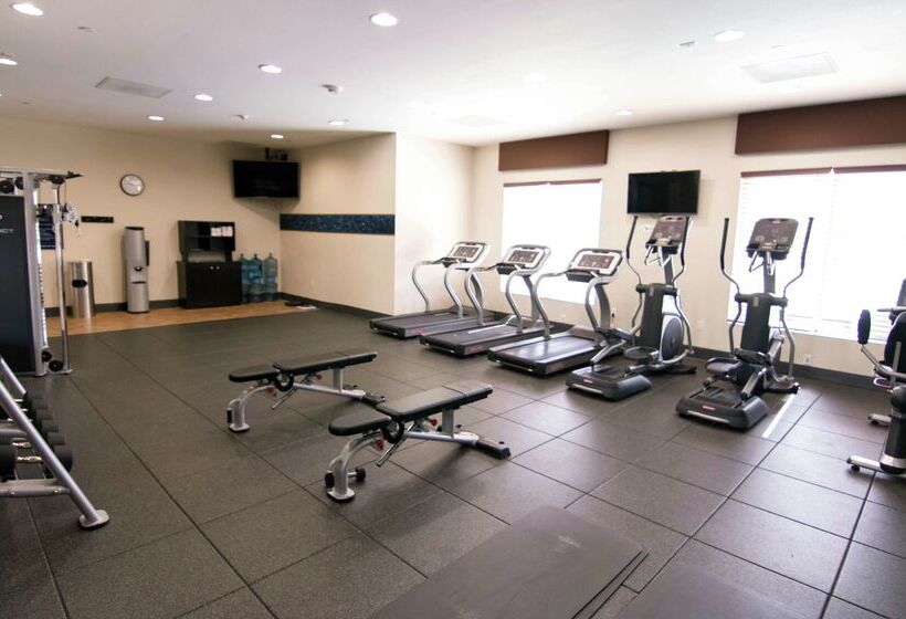 ホテル Hampton Inn & Suites Dallas/frisco Northfieldhouseusa