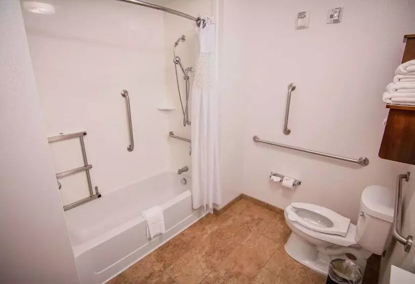 酒店 Hampton Inn & Suites Dallas/frisco Northfieldhouseusa