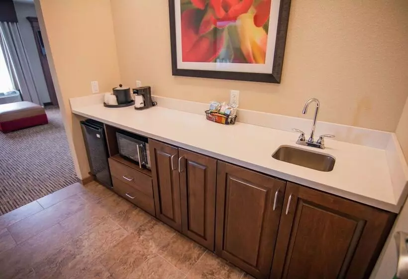 酒店 Hampton Inn & Suites Dallas/frisco Northfieldhouseusa