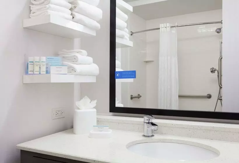 酒店 Hampton Inn & Suites Deland