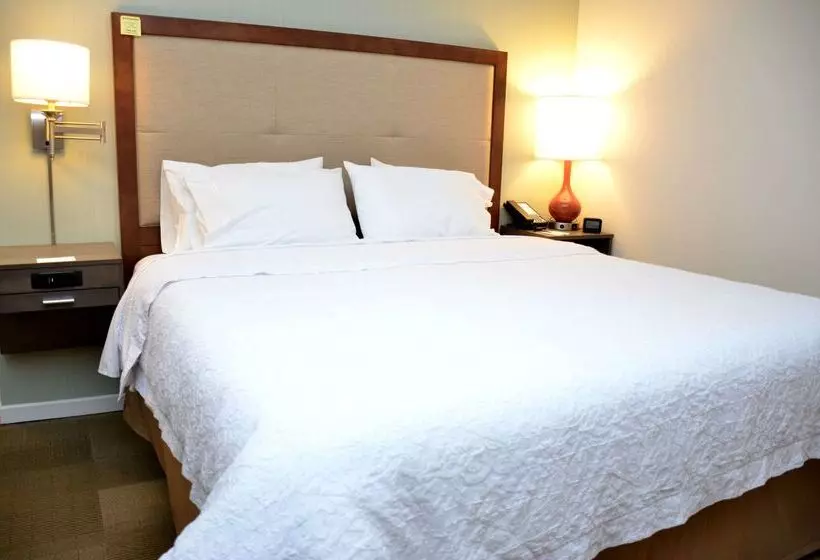 酒店 Hampton Inn & Suites Deland