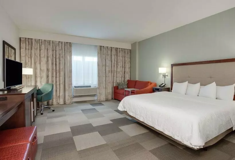 酒店 Hampton Inn & Suites Deland