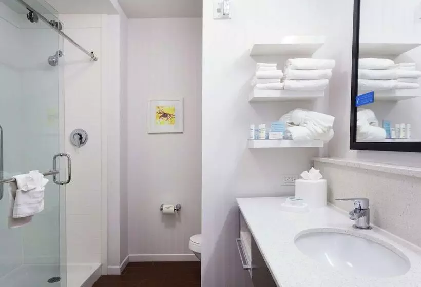 酒店 Hampton Inn & Suites Deland