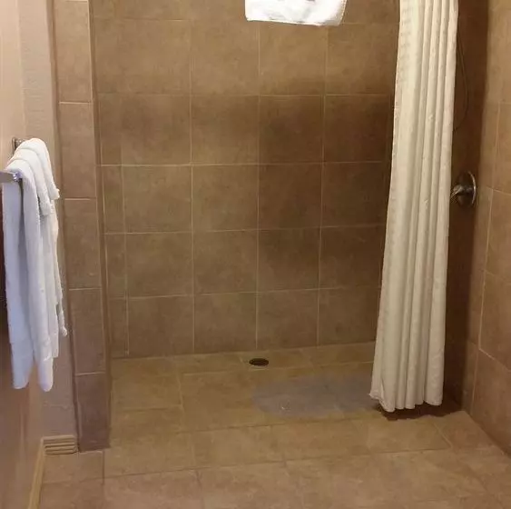 Отель Lakeview Inn & Suites