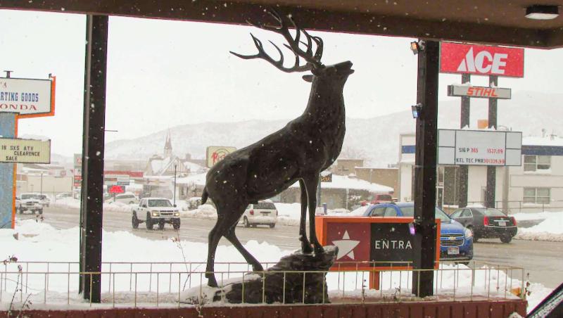 فندق Magnuson  Cedar City