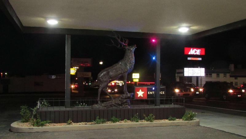 فندق Magnuson  Cedar City