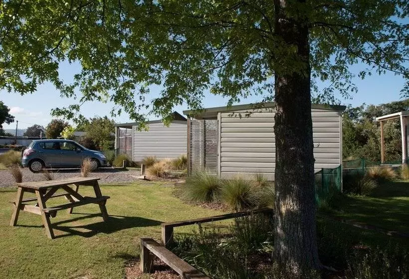 호텔 Martinborough Top 10 Holiday Park