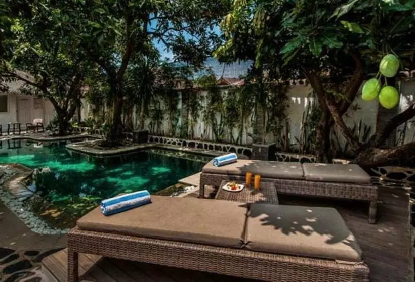 Motel Scallywags Mango