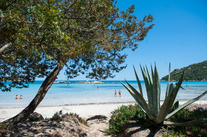 Residence Castell'Verde