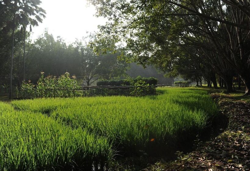אתר נופש Sippa Hotspring