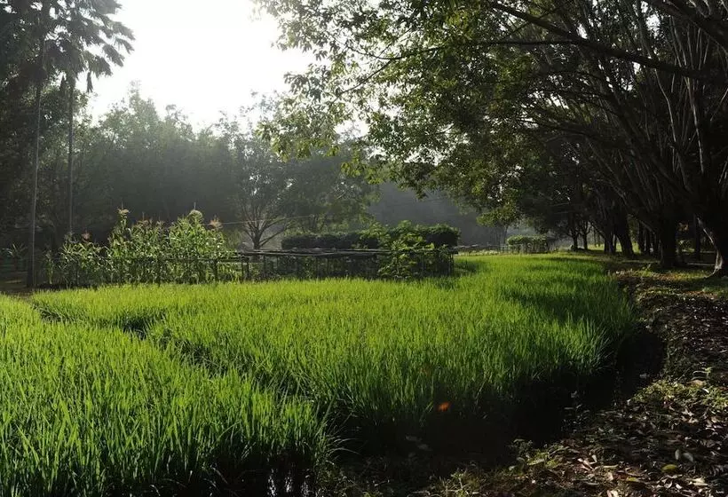 Resort Sippa Hotspring