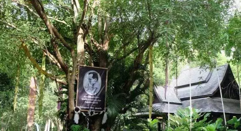 Resort Sippa Hotspring