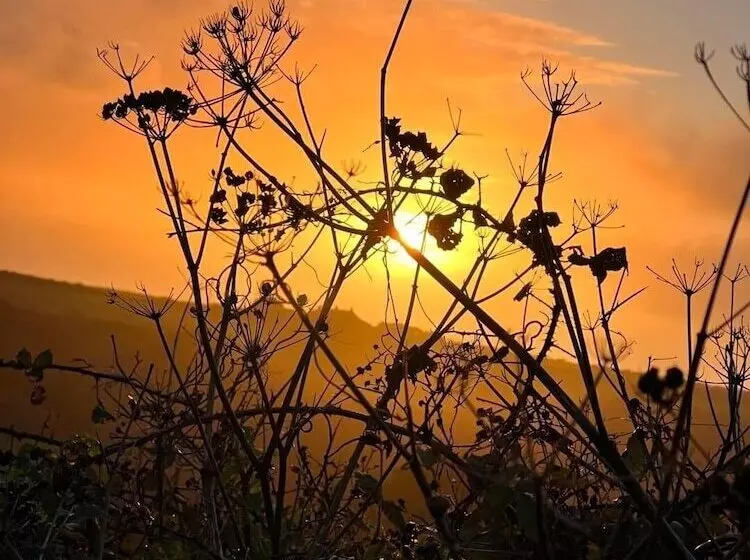 Charming Gnome Cottage, In Devon Near Sidmouth