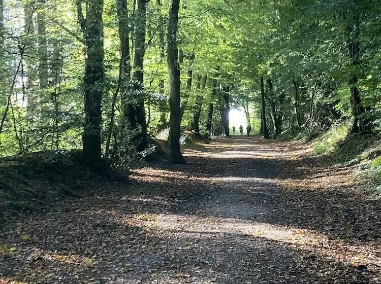 Charming Gnome Cottage, In Devon Near Sidmouth