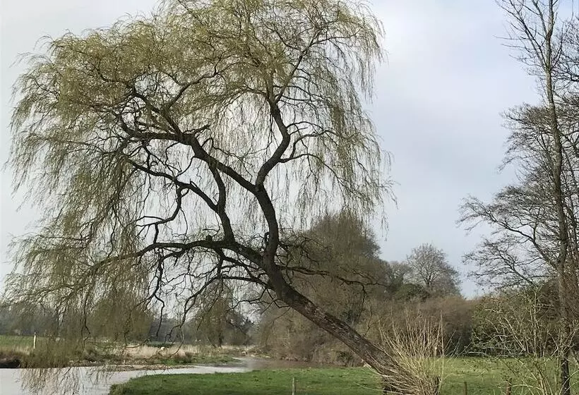 Charming Gnome Cottage, In Devon Near Sidmouth