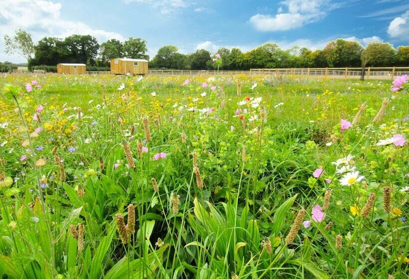 Honeysuckle Farm Hut 1 Suffolk Farm Holidays