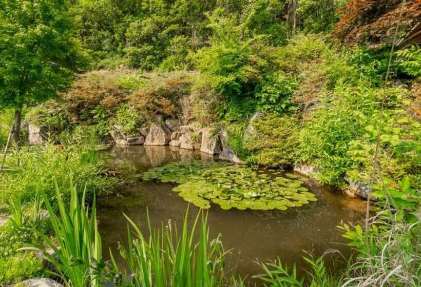 Hongcheon La Stella Pension