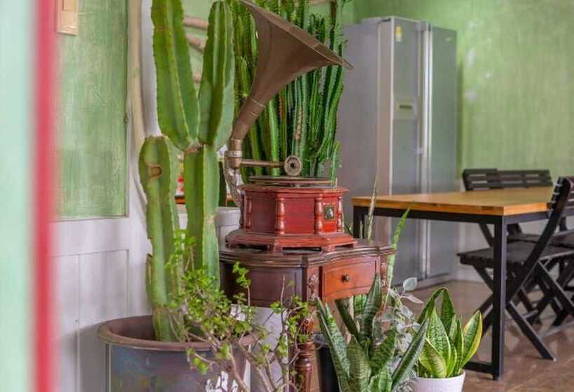 Hongcheon La Stella Pension