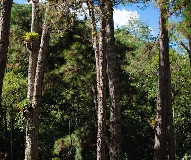 Отель Amadamata Refúgio Ecológico