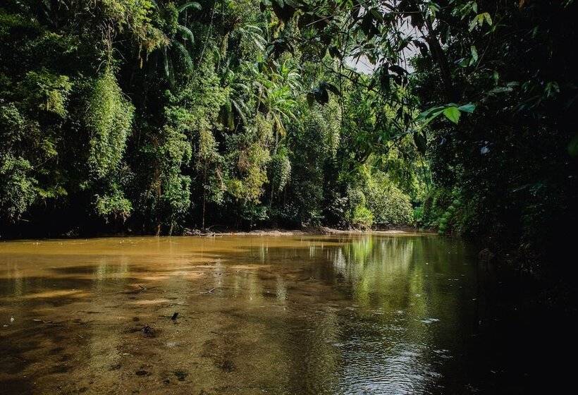 Отель Amadamata Refúgio Ecológico